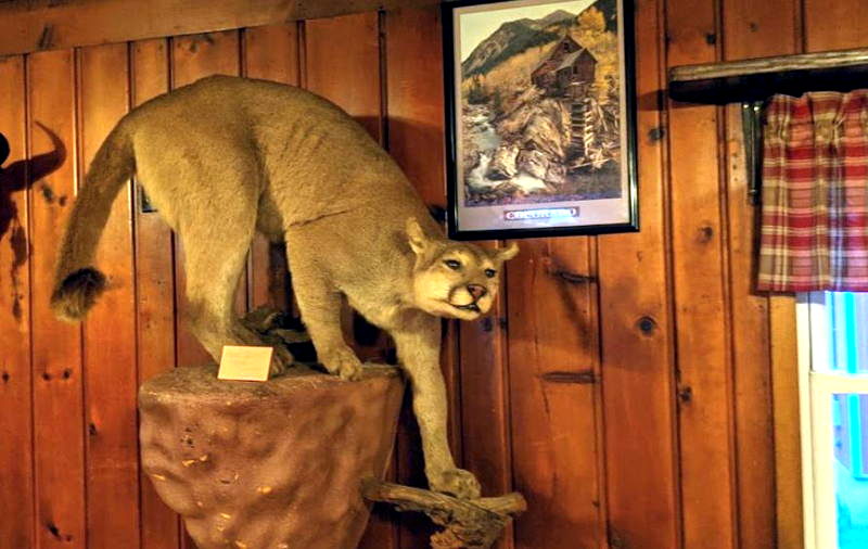 Forester Inn - Photo From Web Listing (newer photo)